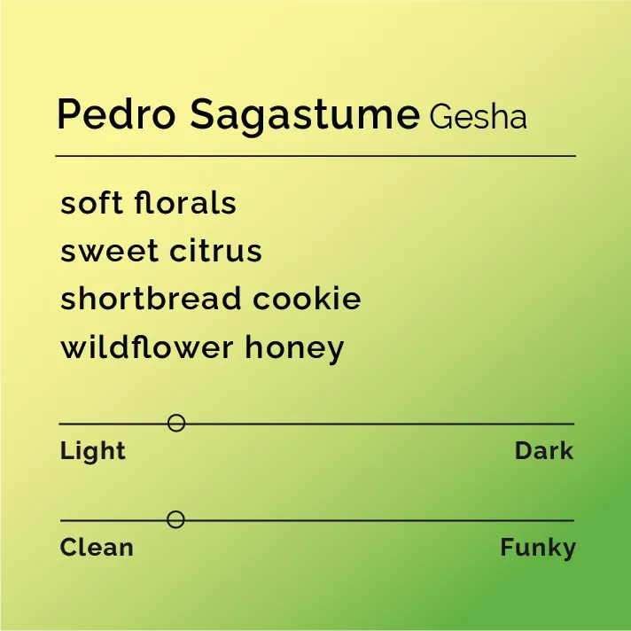 Pedro Sagastume - Gesha (2 bag sub only)