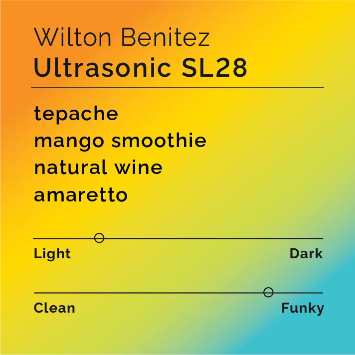 Wilton Benitez - Ultrasonic SL28