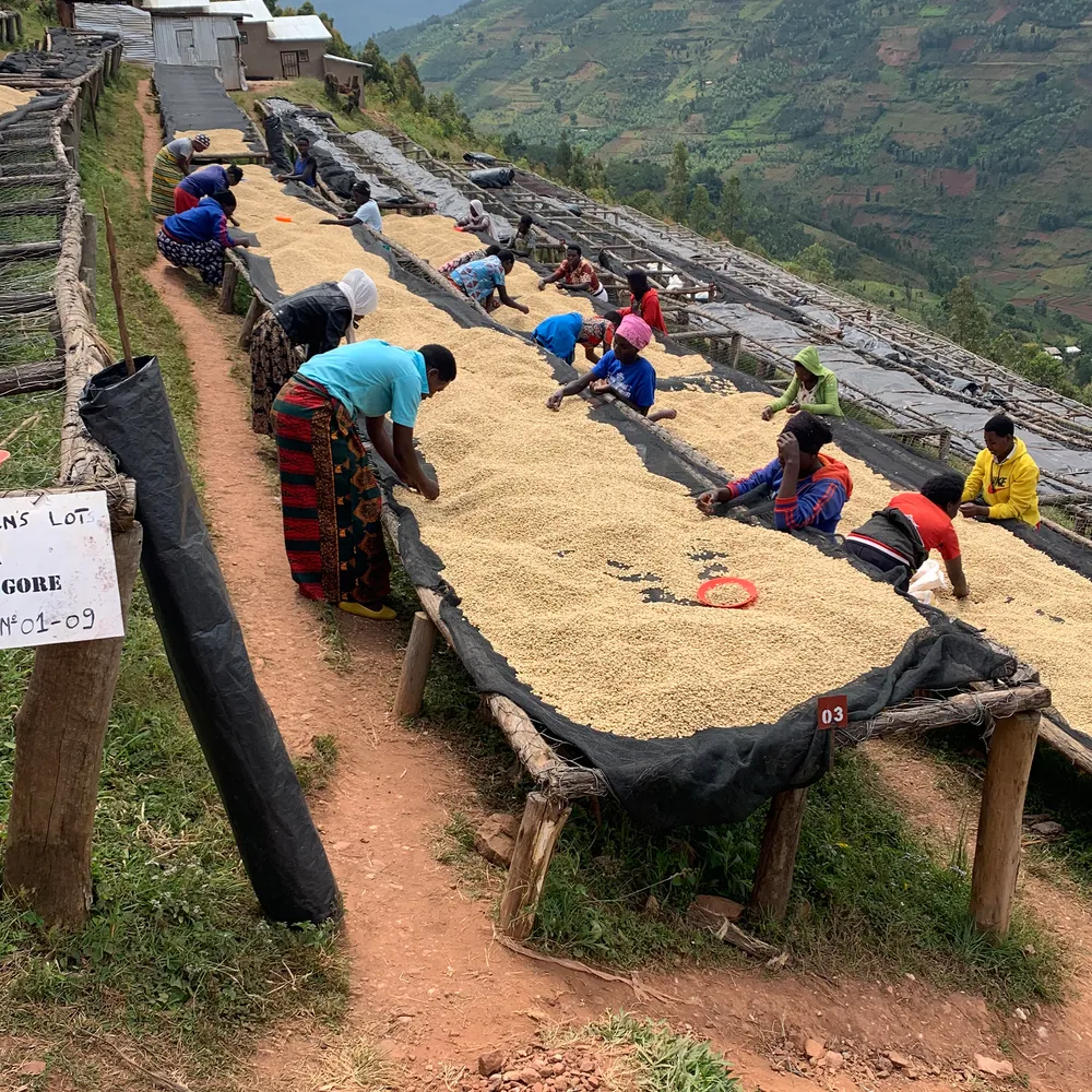 Taba - Café du Rwanda BIO
