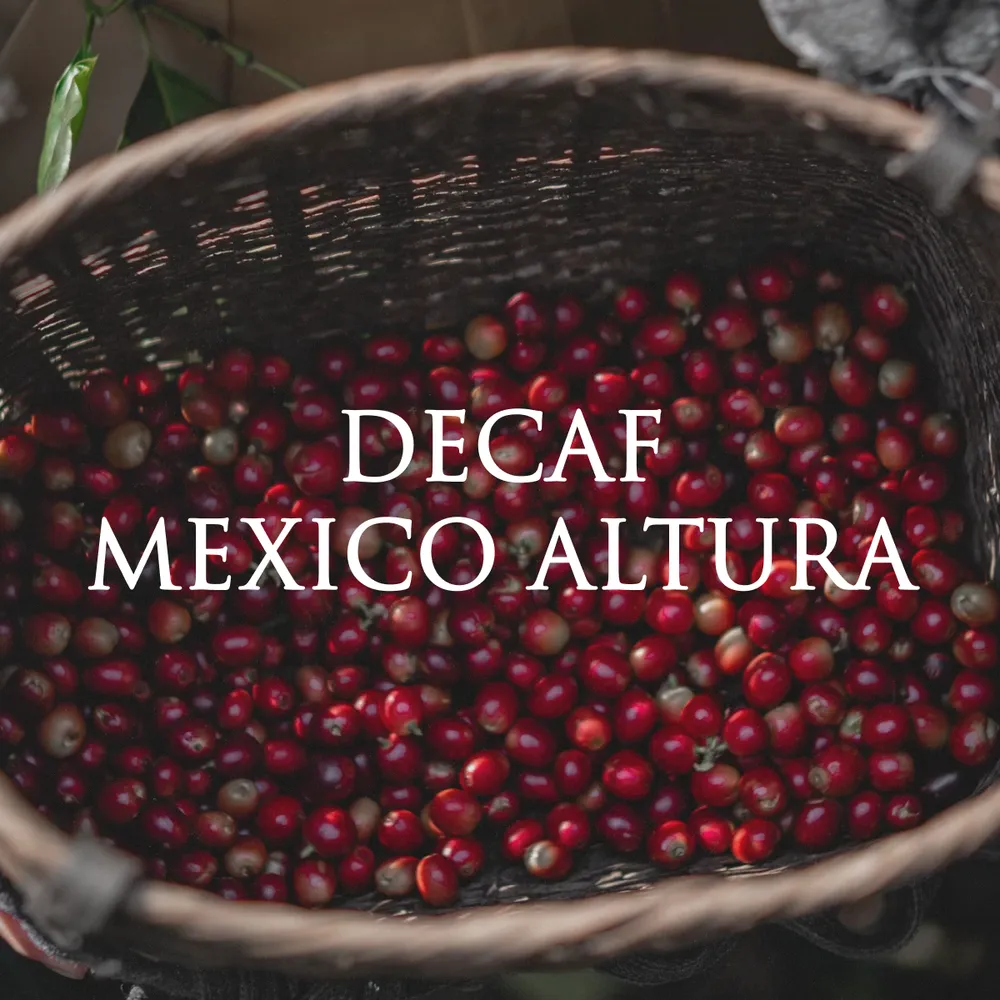 Decaf Mexico Altura (SWP)