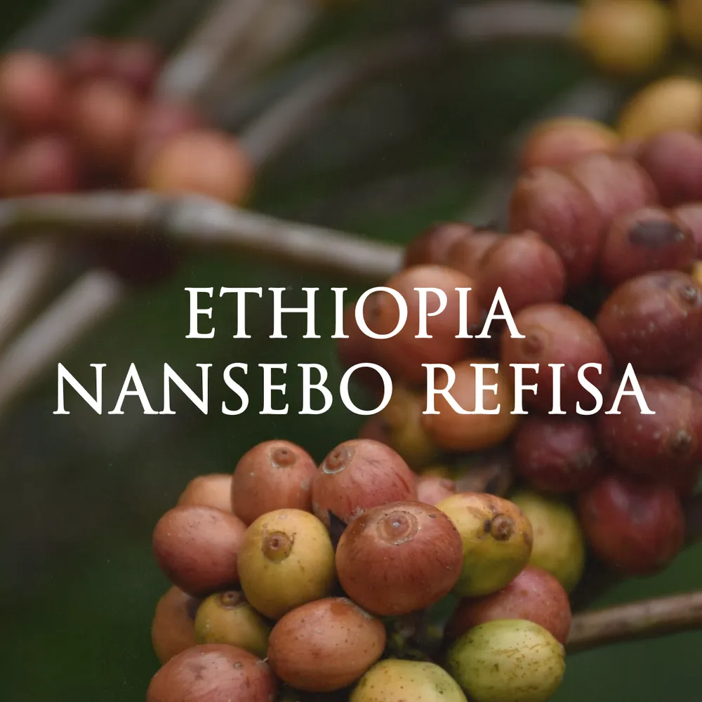 Ethiopia Nansebo Refisa (washed)