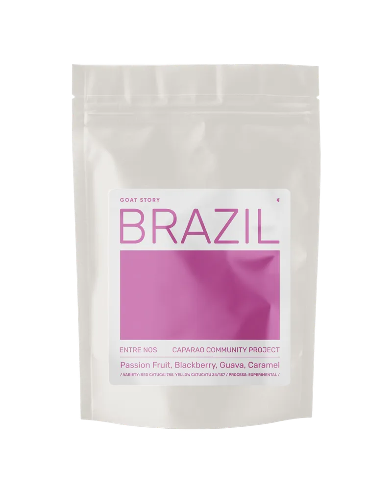 Brazil Entre Nos