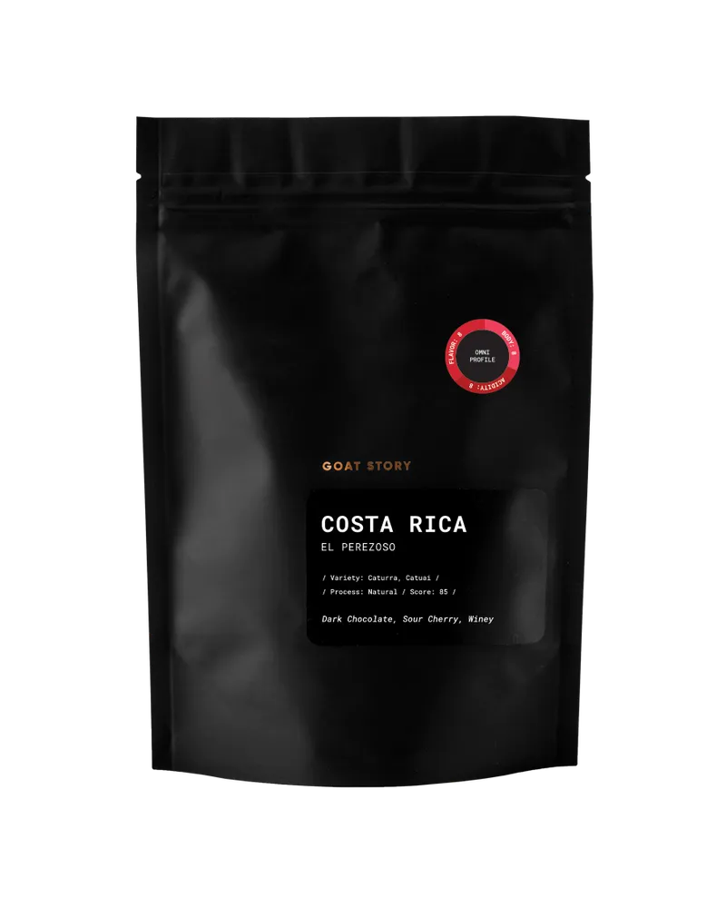 Costa Rica El Perezoso