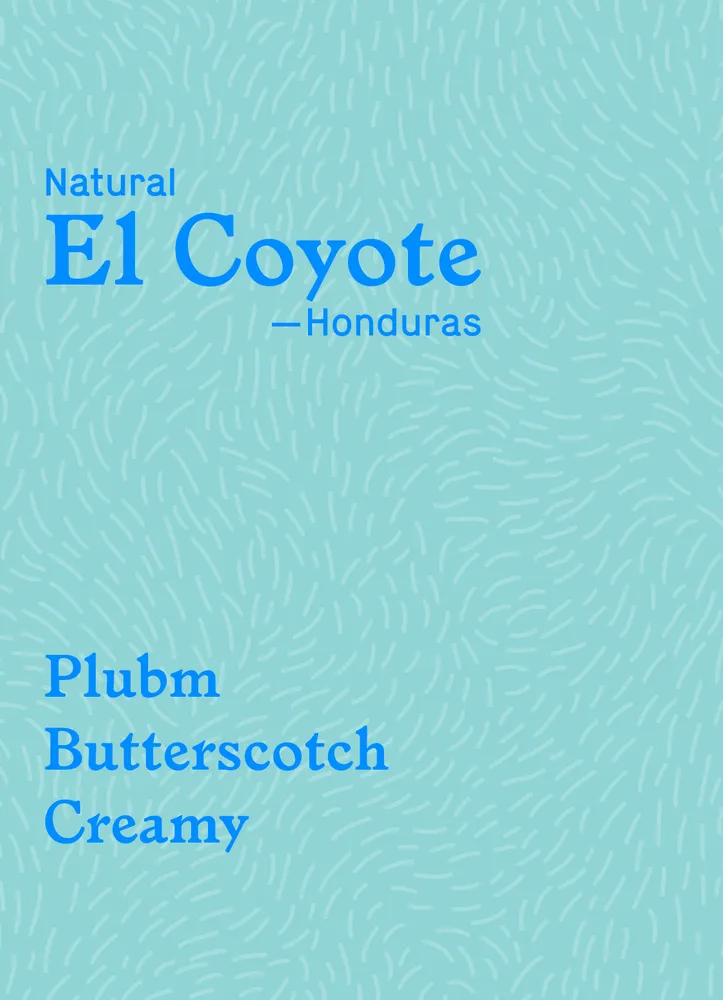 El Coyote