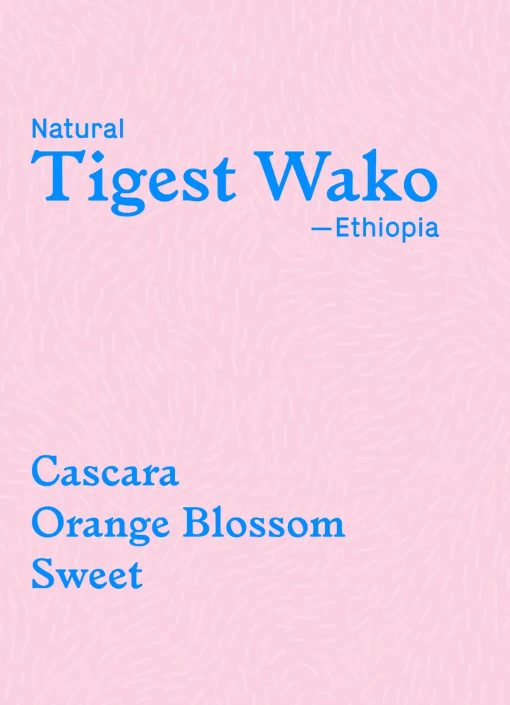 Tigest Wako