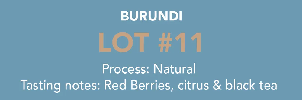 Dose - Burundi, Lot 11