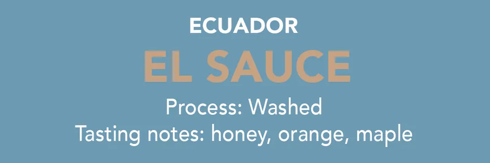 Dose - Ecuador El Sauce