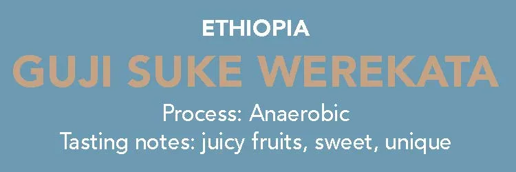 Dose - Ethiopia, Guji Suke Werekata