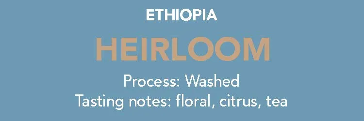 Dose - Ethiopia Heirloom