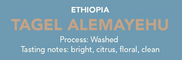 Dose - Ethiopia, Tagel Alemayehu