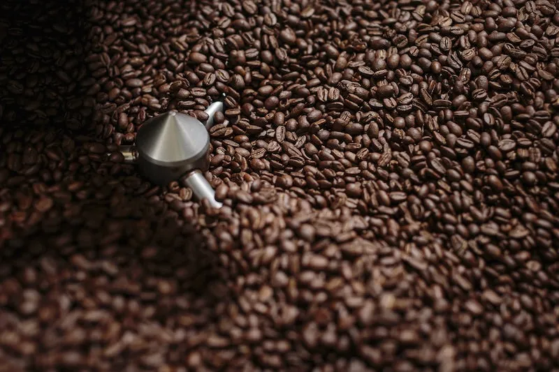 Nicaragua Washed Roasted Coffee - 10lb Barrel