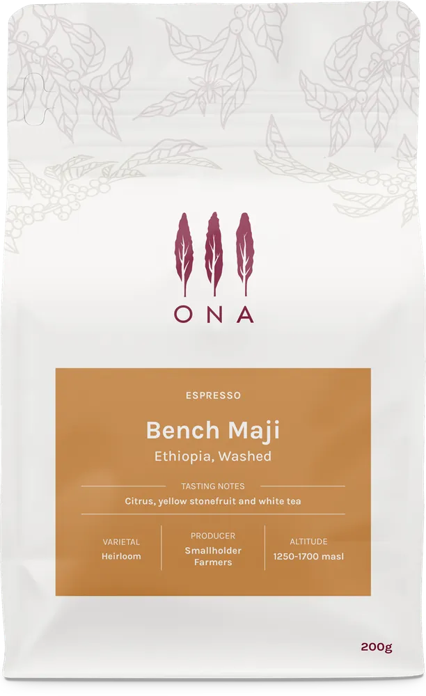 Bench Maji, Ethiopia, Washed