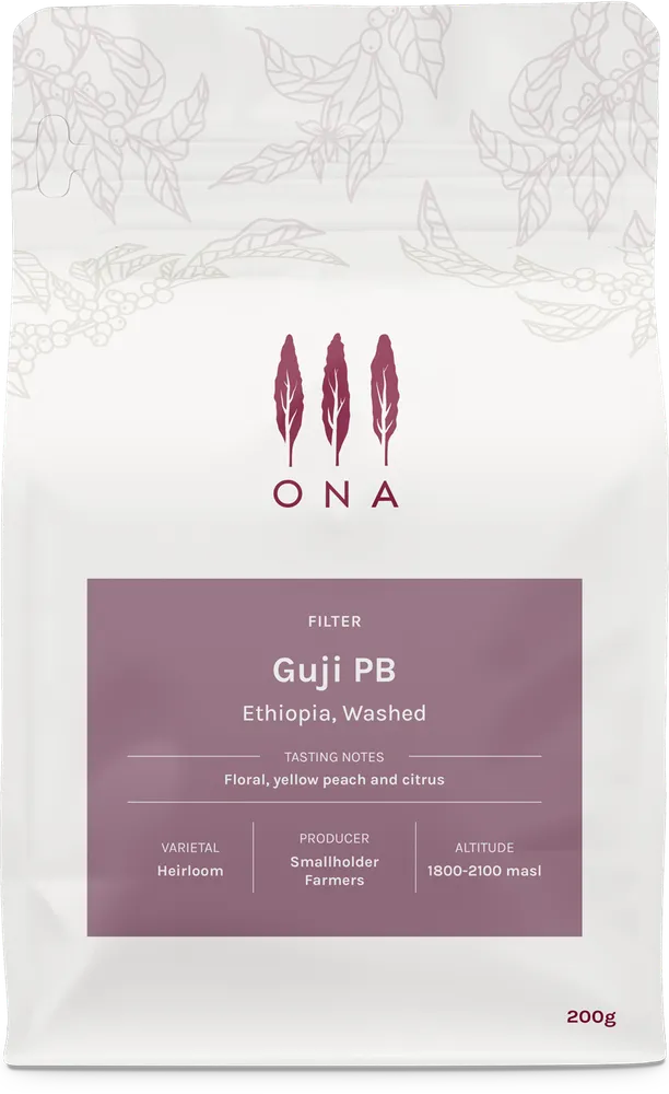 Guji PB, Ethiopia, Washed