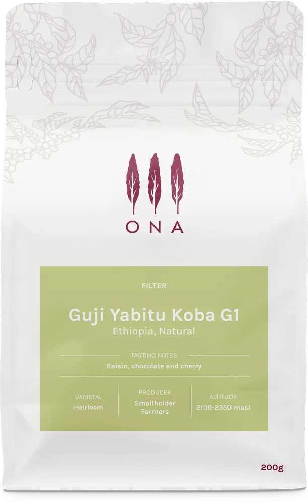 Guji Yabitu Koba G1, Ethiopia, Natural
