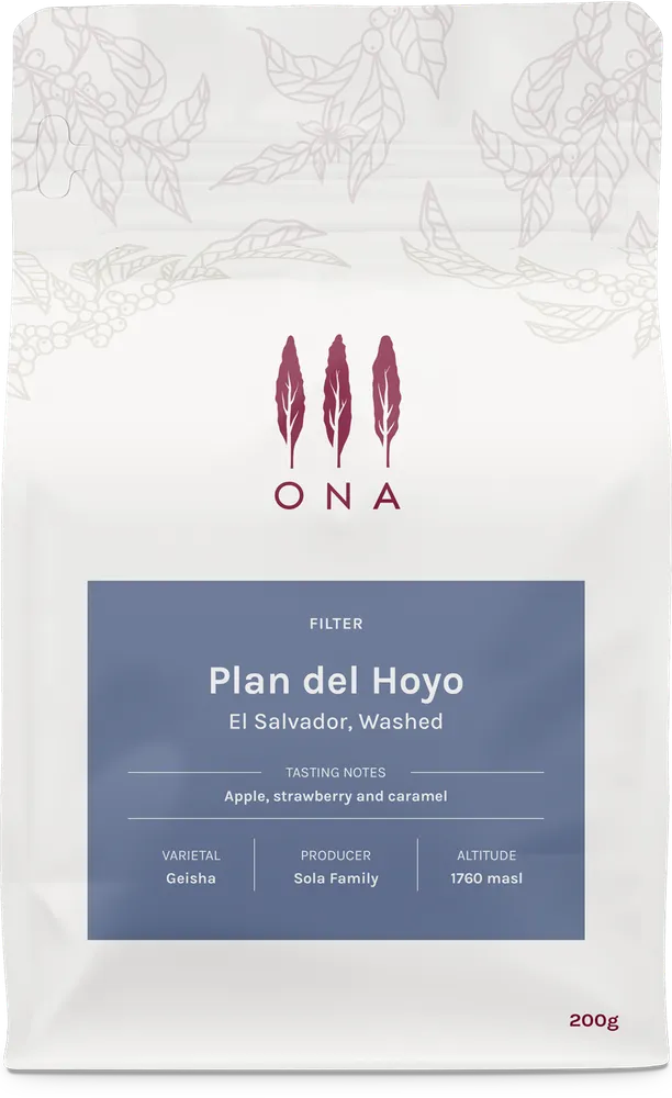 Plan del Hoyo, El Salvador, Washed