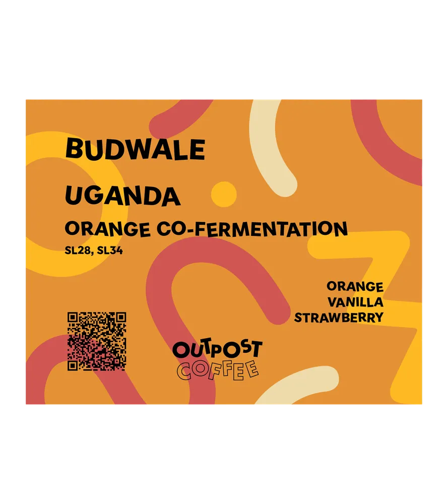 Budwale, Orange Co-Fermentation, Uganda