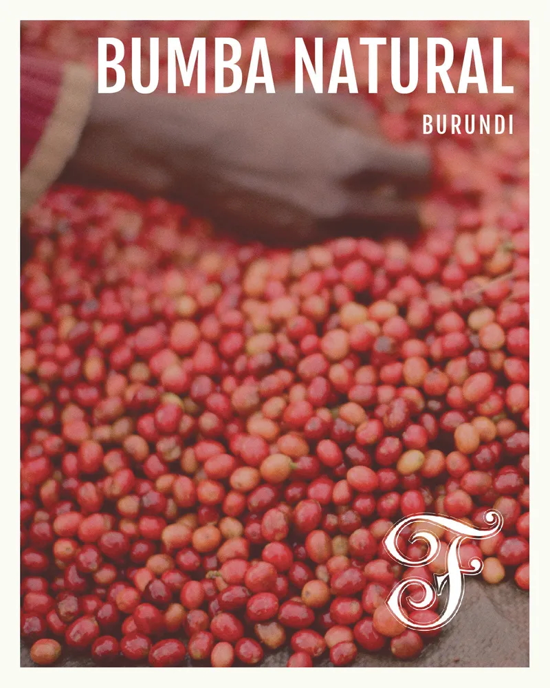 Burundi Bumba Hill Natural