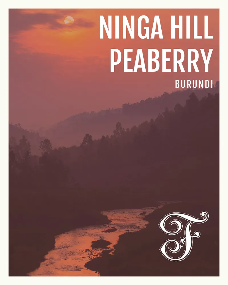 Burundi Ninga Hill Peaberry