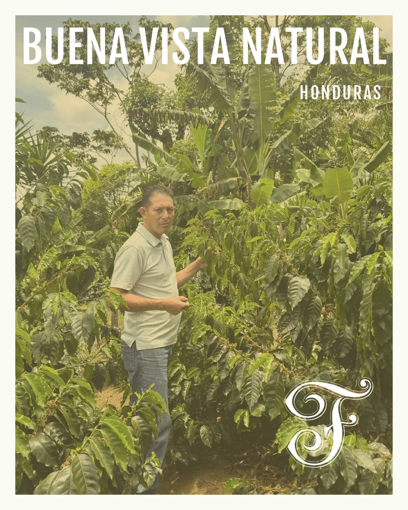 Honduras Buena Vista Natural Espresso