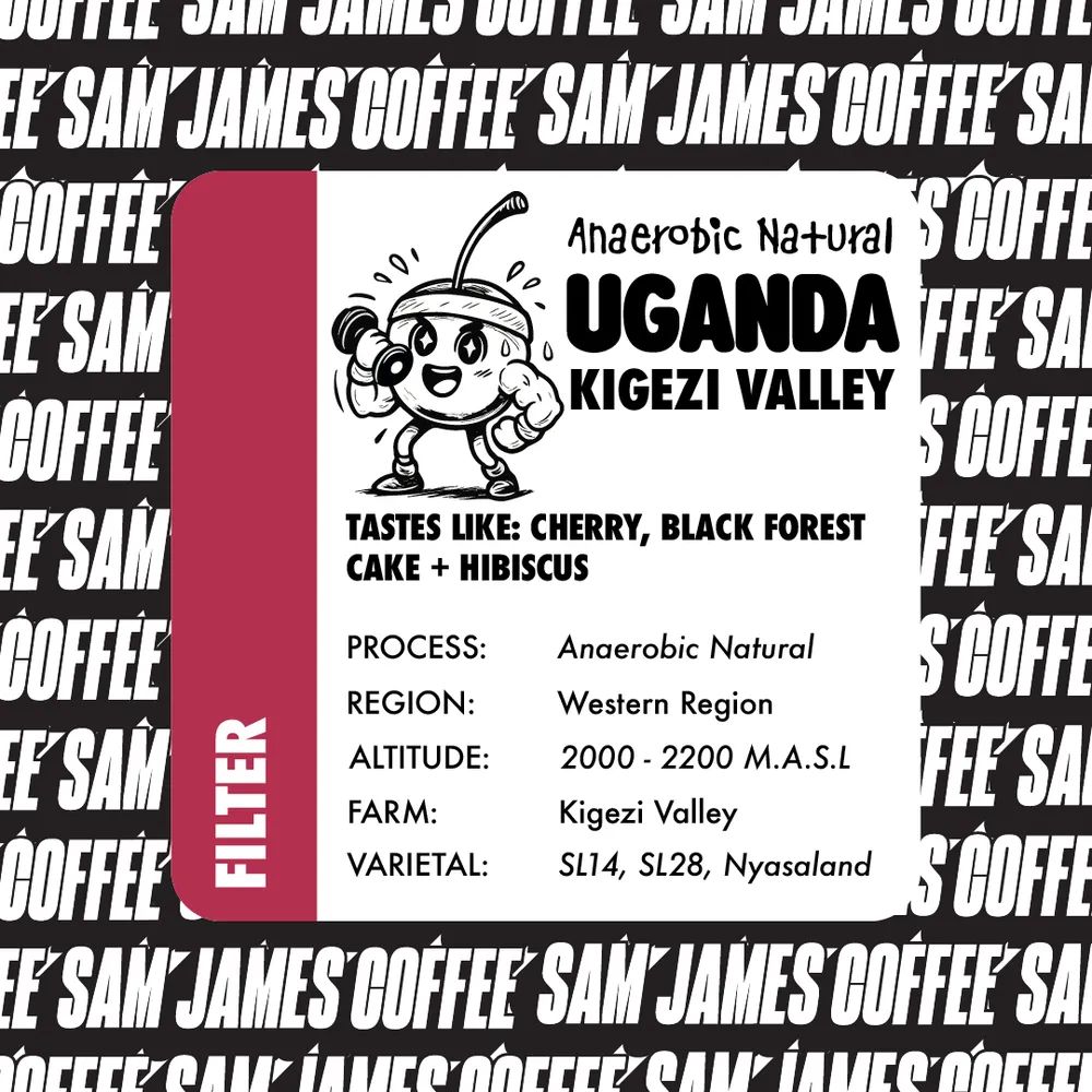 UGANDA: ANAEROBIC NATURAL, KIGEZI VALLEY