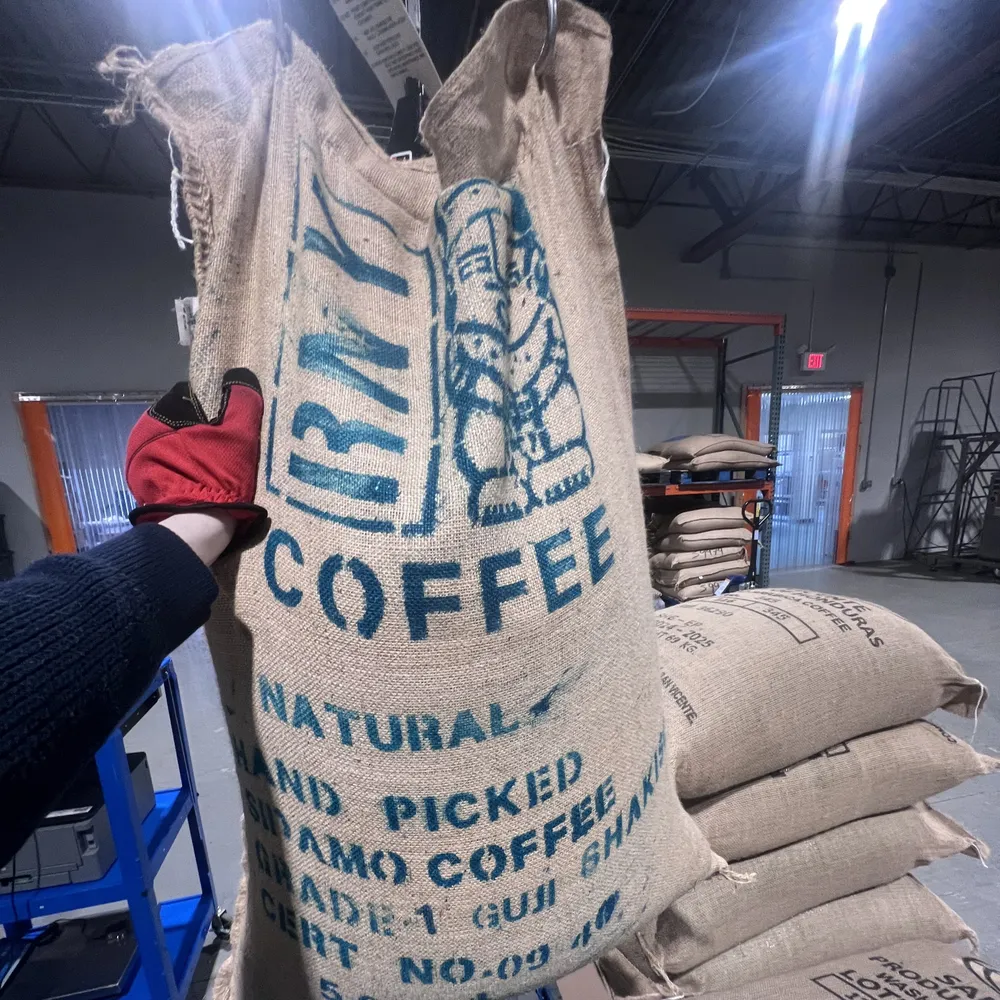 Ethiopian Guji