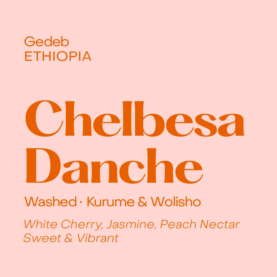 Ethiopia Chelbesa Danche, Washed Kurume & Wolisho