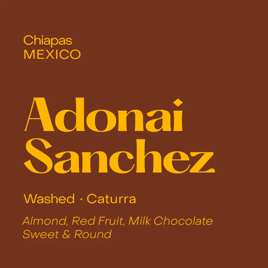 Mexico Adonai Sanchez, Washed Caturra