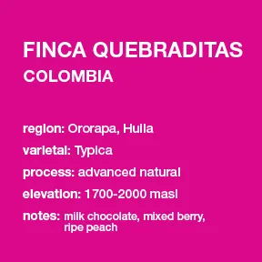 **NEW** COLOMBIA Finca Quebraditas