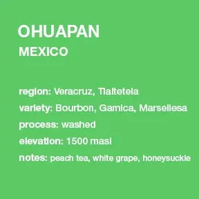 **NEW** MEXICO Ohuapan