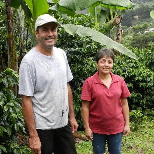 Farami - Raw Green Coffee - Costa Rica