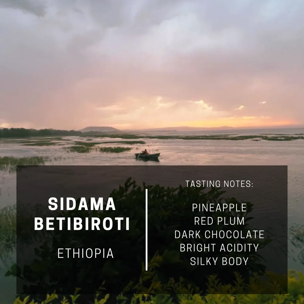 Ethiopia Sidama Betibiroti